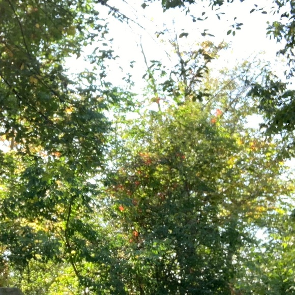 Meet your Posher, Sabrina - Picture 1 of 1